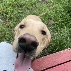 Fundraising Page: Sandy Johnson